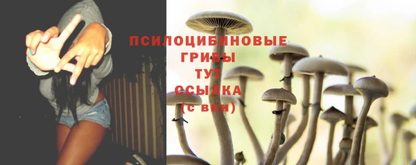 МДПВ Волоколамск