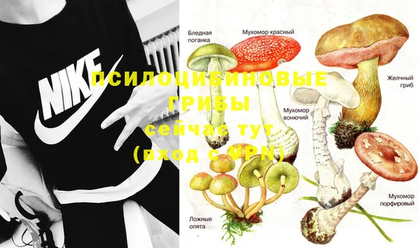 кокаин колумбия Сатка